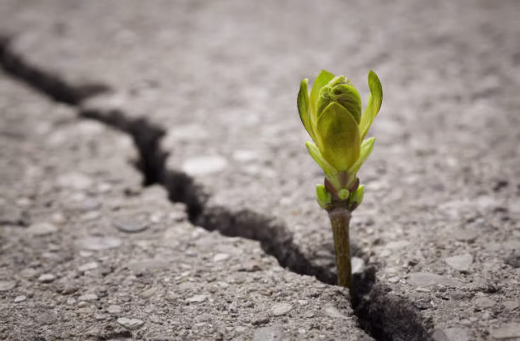 2025 Resolution: The Year We Break the Silence Around Death